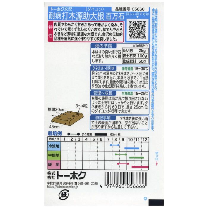 ダイコン 打木源助大根　百万石の説明画像2