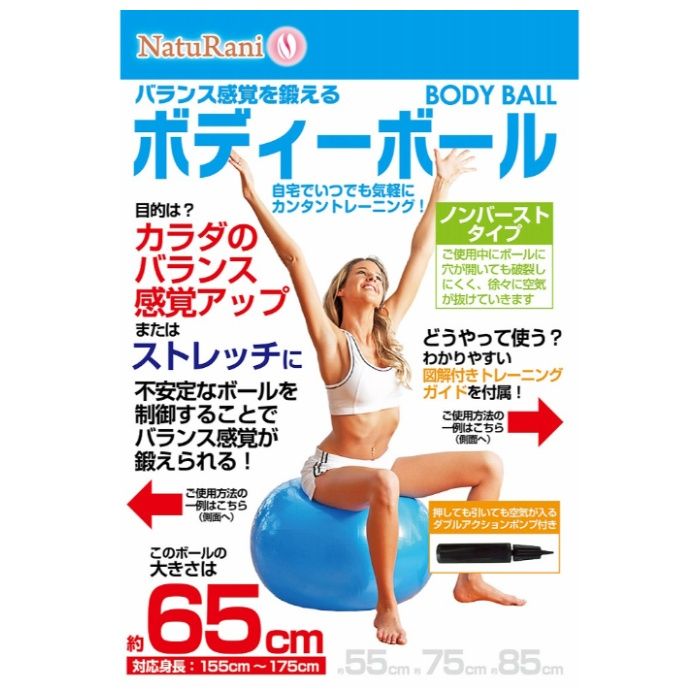 NatuRani ボディボール65cm ブルー NR-2235の説明画像2