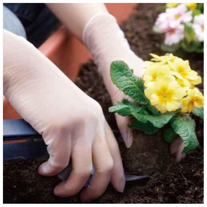 ナフコ 天然ゴムディスポM 100枚 CN401Mの説明画像3