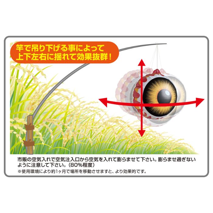 龍宝丸 鳥追い目玉パニック K-905の説明画像3