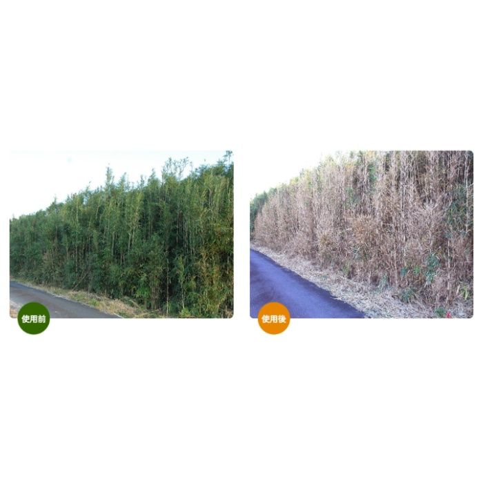 カーリット デゾレートAZ粒剤 5kgの説明画像2