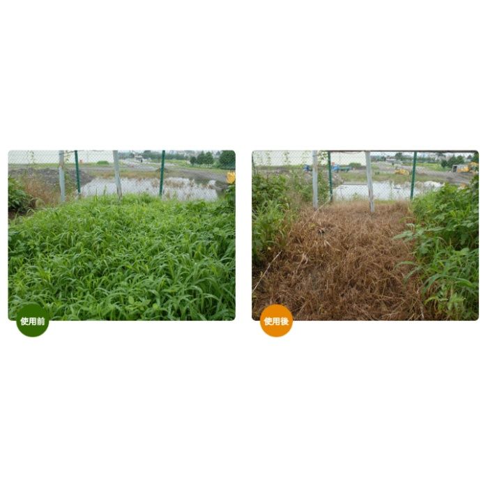 カーリット デゾレートAZ粒剤 5kgの説明画像4