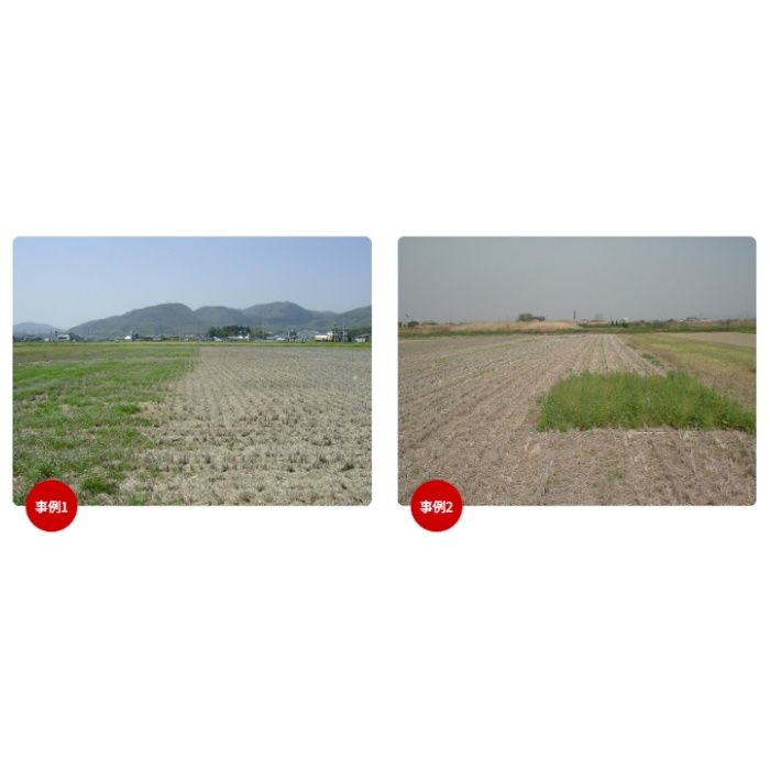 カーリット デゾレートAZ粒剤 5kgの説明画像5