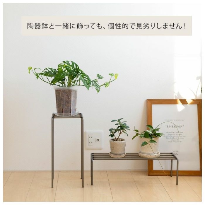 兼弥産業 スリット鉢　透明　ネガミエル CSM-150L　5寸ロングの説明画像4