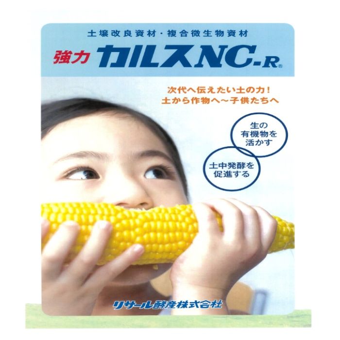 リサール酵産 カルスNC-R 粉　10kgの説明画像2