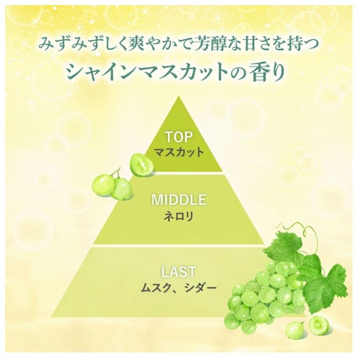 熊野油脂 ディブ　シャインマスカットの香り　洗顔フォーム 170gの説明画像4