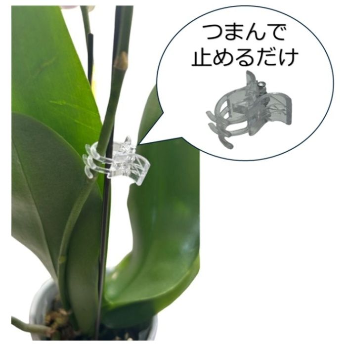 明和 園芸クリップ10個入り M　クリアの説明画像3