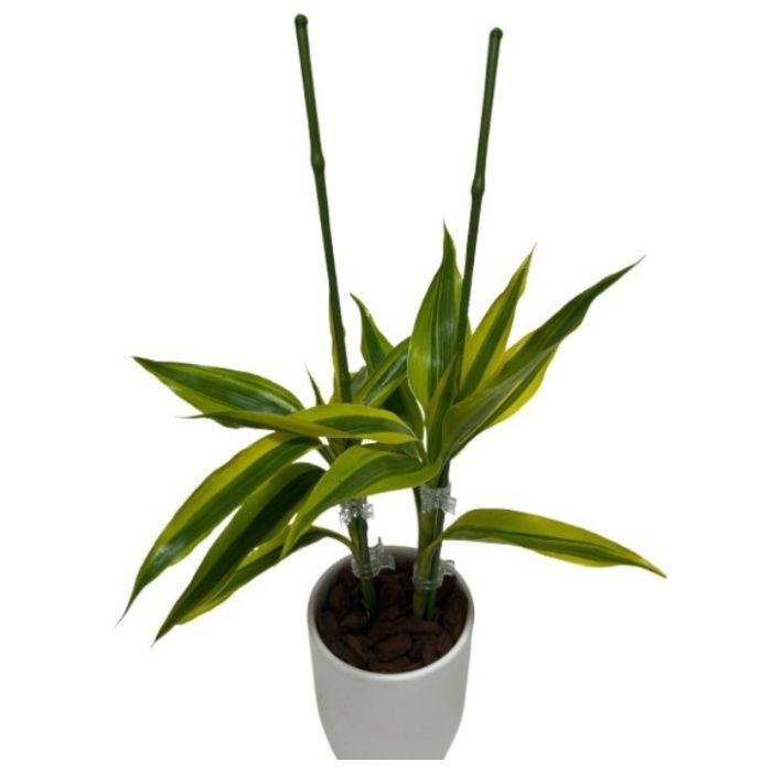 渡辺泰 あお竹　5本パック 太さ5.5mm　長さ450mmの説明画像3