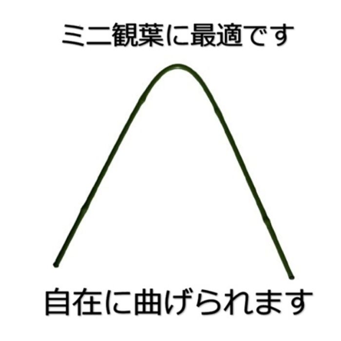 渡辺泰 あお竹　5本パック 太さ5.5mm　長さ450mmの説明画像4