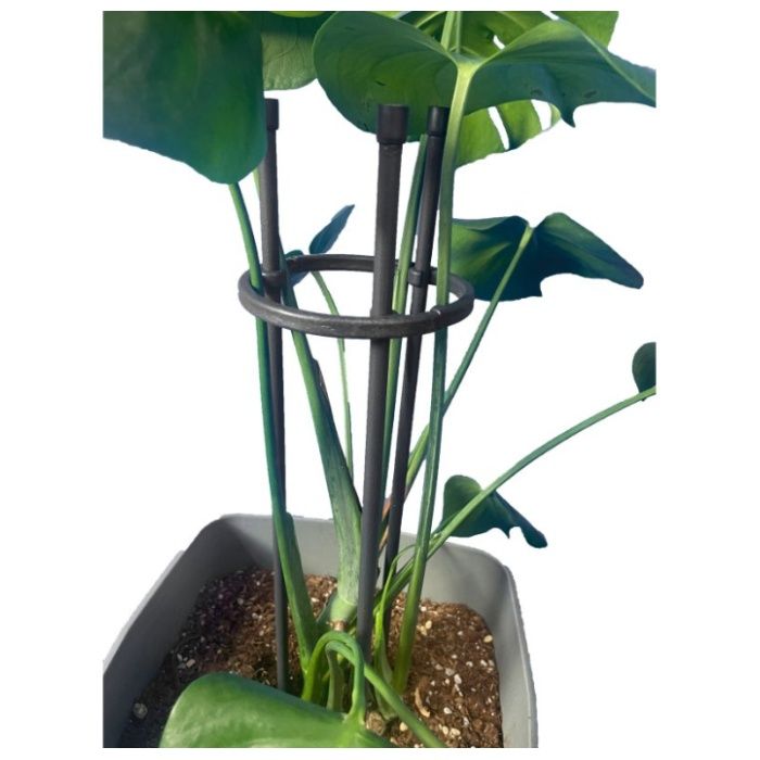 第一ビニール リングサポート リング径15cm高さ40cmの説明画像2