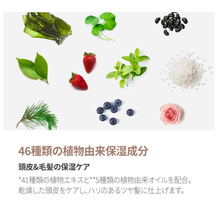 KUNDAL クンダル ハニー&マカダミア シャンプー+トリートメント トライアルサイズ ペアー&フリージアの香り  10ml+10mlの説明画像3