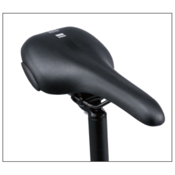 Panasonic(パナソニック) XEALT S5(ゼオルトエスファイブ)390mm レーザーブルー/BE-GS53SVの説明画像6