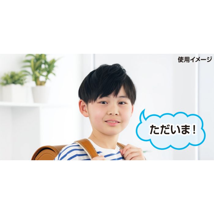 カシムラ 呼び出しカメラ 防水/どこでも設置 KJ-198の説明画像5