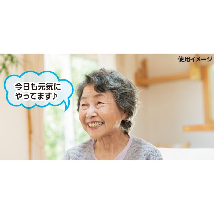 カシムラ 呼び出しカメラ 防水/どこでも設置 KJ-198の説明画像6