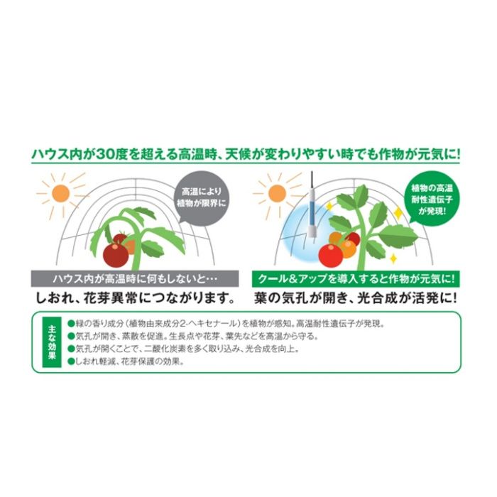 渡辺パイプ クール　アンド　アップ 10本入の説明画像2