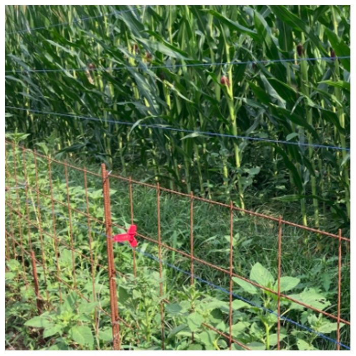 テザックコードコネクター 10Pの説明画像3