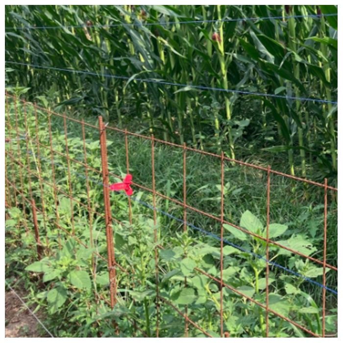 テザックコードコネクター 50Pの説明画像3