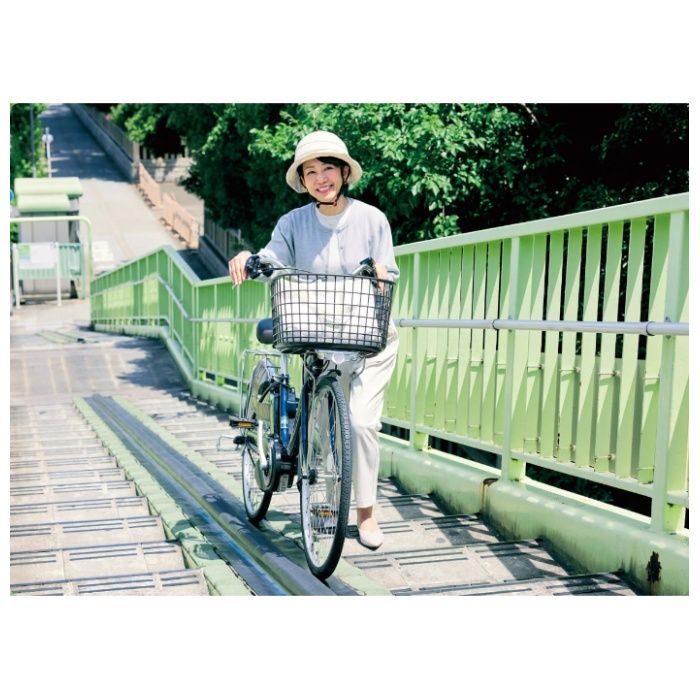 Panasonic(パナソニック) 20ビビ・L・押し歩き T2:アースブラウン/BEーFLW033T2の説明画像2