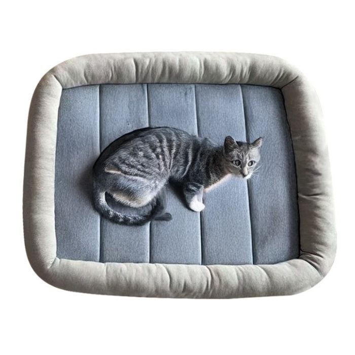 ひんやりもちもちあご乗せベッド ラビーナ GYの説明画像2