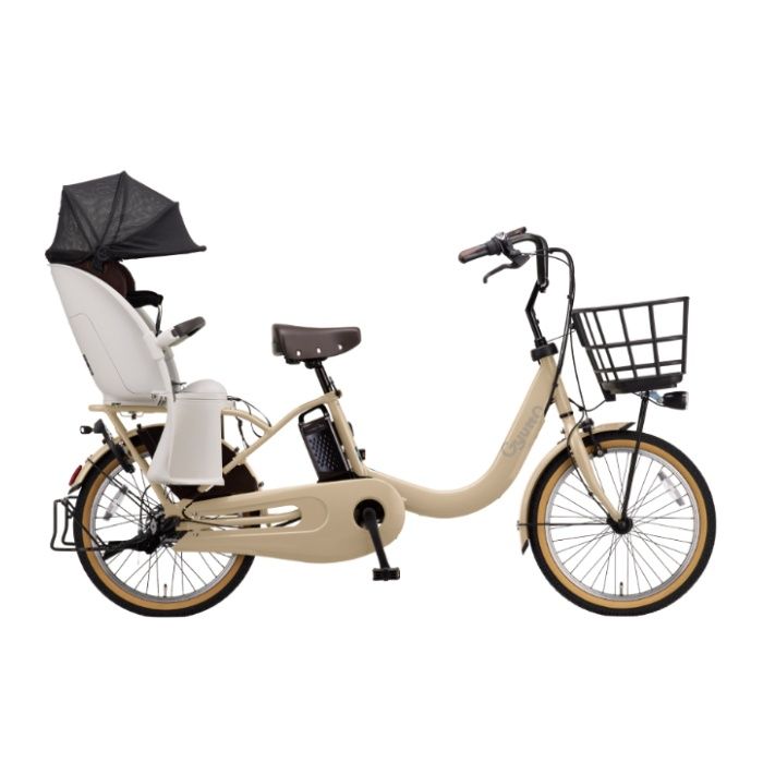 Panasonic(パナソニック) 20ギュット・クルームR・DX T:マットキャメル/BEーFRD035T