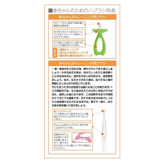 デンタルプロ ベビーエイジハブラシ 1Pの説明画像4