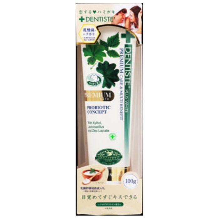 デンティスチューブ　Pro-B 100G