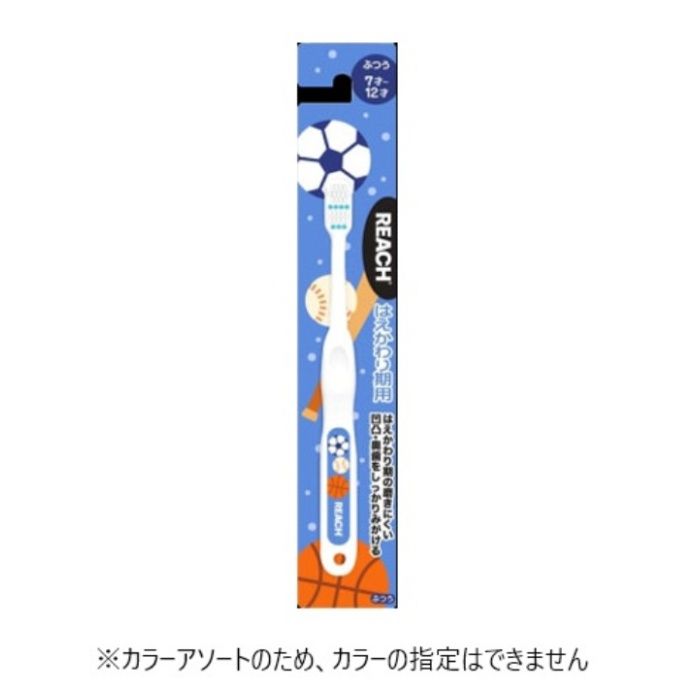 リーチキッズ　歯ブラシ　ボール はえかわり期用