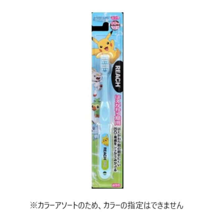 リーチキッズ　ポケモン はえかわり期用
