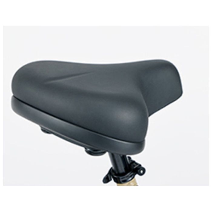 YAMAHA(ヤマハ) PAS kiss 20 マットマーガレットイエローの説明画像5