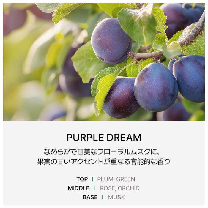 MOREMO モレモ プロテインバーム 100ml 洗い流さないトリートメントの説明画像6