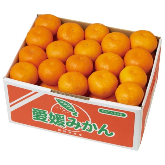 【Y13-6B】【お歳暮】愛媛みかん-承り締切:2025年12月11日