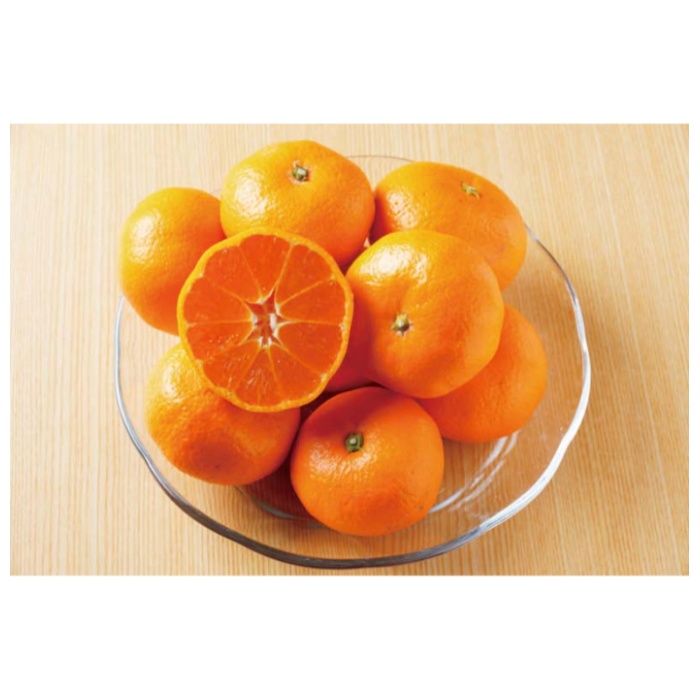 【B13-3】【お歳暮】愛媛みかん-承り締切:2025年12月11日