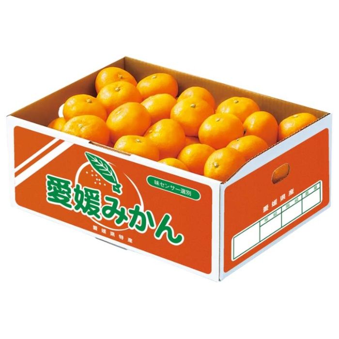 【B13-3】【お歳暮】愛媛みかん-承り締切:2025年12月11日の説明画像2
