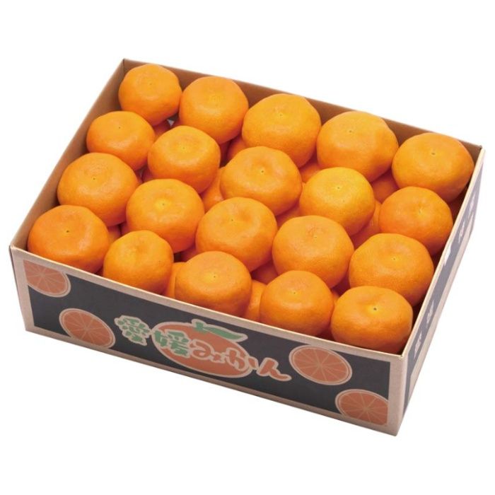 【B13-4】【お歳暮】愛媛みかん-承り締切:2025年12月11日