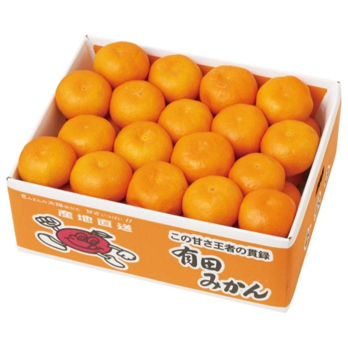 【G13-2B】【お歳暮】和歌山県産 有田みかん-承り締切:2025年12月11日