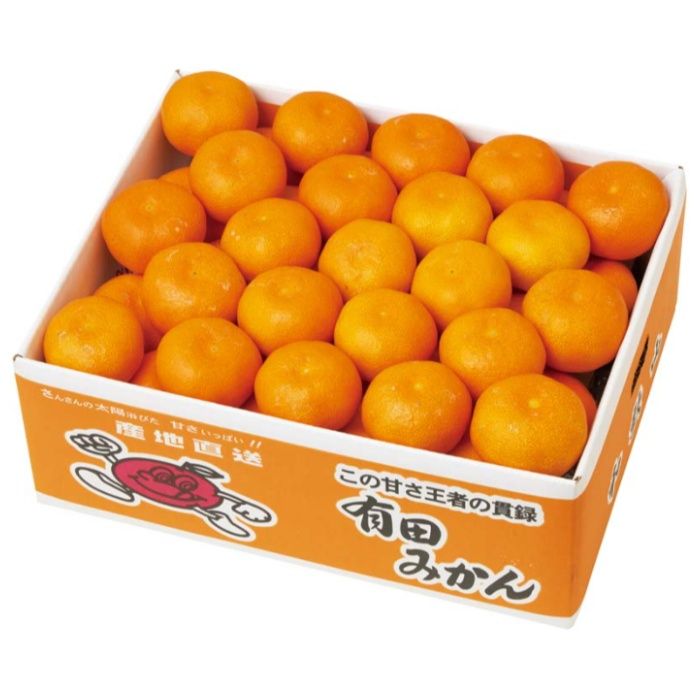 【B13-1B】【お歳暮】和歌山県産 有田みかん-承り締切:2025年12月11日
