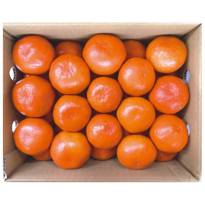 【W13-9B】【お歳暮】香川県産 金時紅みかん-承り締切:2025年12月8日