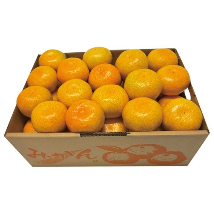 【B13-8】【お歳暮】福岡県産 糸島みかん-承り締切:2025年12月8日