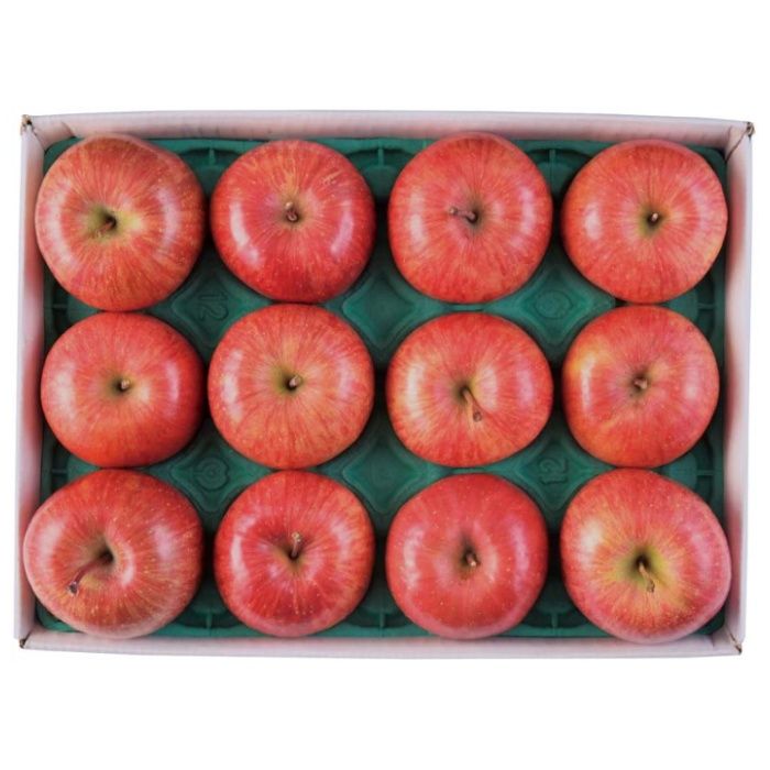 【B12-3】【お歳暮】JAつがる弘前 蜜入りサンふじりんご(メジャー)-承り締切:2025年12月3日