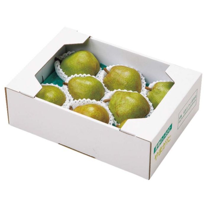 【B15-6】【お歳暮】奥山農園 山形県産 ラフランス-承り締切:2025年12月3日