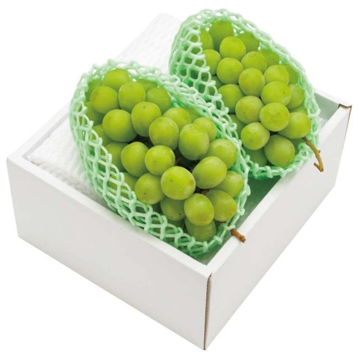 【B15-7】【お歳暮】山形県産 シャインマスカット-承り締切:2025年12月8日