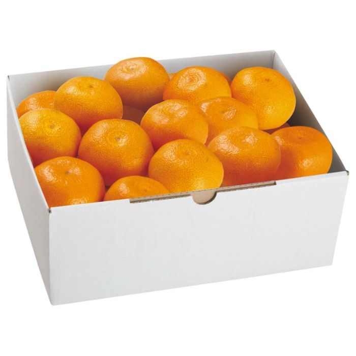 【B13-6】【お歳暮】わかやま情熱みかんグループ わかやま情熱みかん-承り締切:2025年12月8日の説明画像2