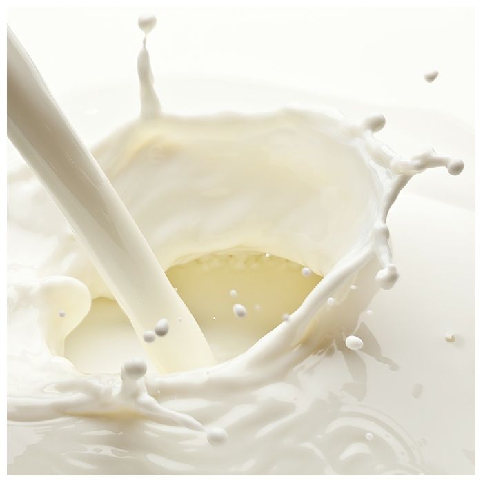 レイヴィーボディーシャンプー ゴートミルク　つめかえ1800mlの説明画像6