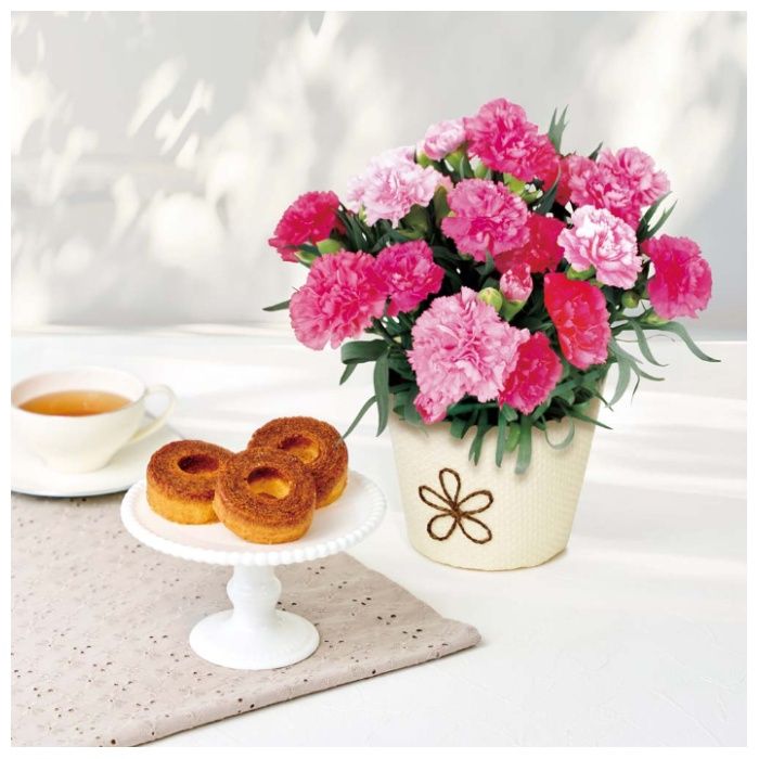 【B40-1】【早期お届け(母の日)】カーネーション(ホットハート)とT.D.Early キャラメリゼバウム-承り締切:2026年4月16日