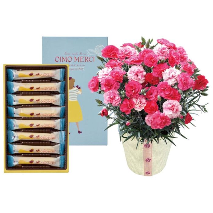 【C40-1】【母の日】カーネーション(さくらもなか)とOIMO MERCI ラングドロール-承り締切:2026年4月30日の説明画像2