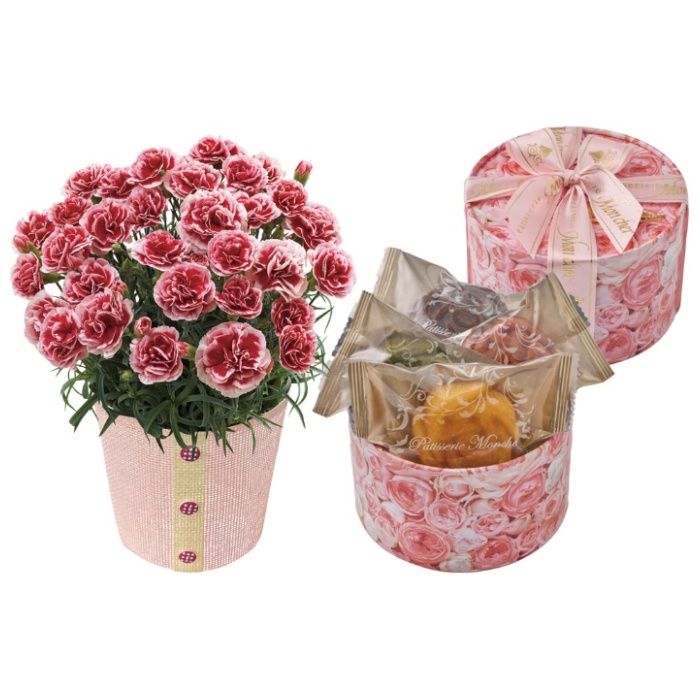 【C40-2】【母の日】カーネーション(いちごホイップ)と「パティスリー モンシェール」エタニティーローズ-承り締切:2026年4月30日の説明画像2