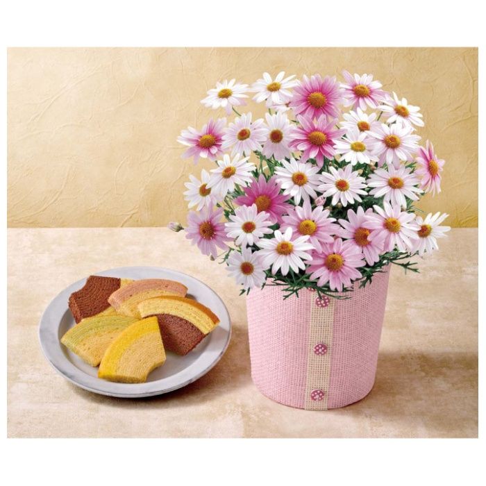 【C40-3】【母の日】マーガレット(さくらべーる)と「銀座千疋屋」銀座フルーツクーヘン-承り締切:2026年4月30日