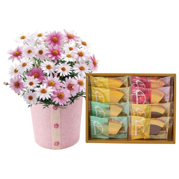 【C40-3】【母の日】マーガレット(さくらべーる)と「銀座千疋屋」銀座フルーツクーヘン-承り締切:2026年4月30日の説明画像2