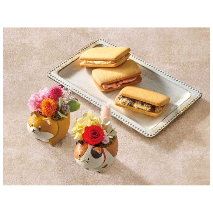 【C40-6】【母の日】アニマルプリザと「銀座千疋屋」銀座フルーツサンド-承り締切:2026年4月30日