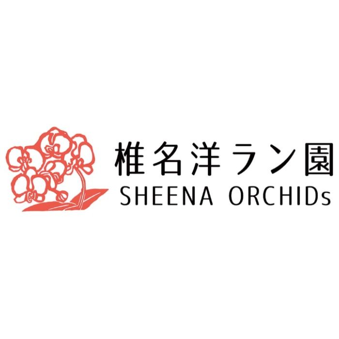 【MC37-5】【母の日】胡蝶蘭(ビックリップキティ)-承り締切:2026年4月30日の説明画像3